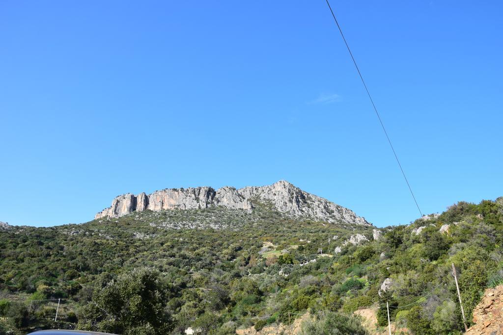 Appartamenti Da Vincenza سانتا ماريا نافاريز المظهر الخارجي الصورة